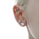 Bichon Frise Earrings