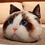 Ragdoll Pillow Blanket 2 in 1