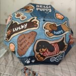 Dachshund Umbrella