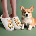 Corgi slippers